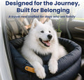 Black XL dog car seat bed with safety leash in a car back seat