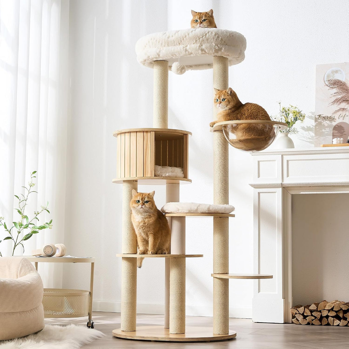 64-inch natural and white wooden cat tree with capsule perch and top bed