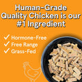 Two 5 lb bags of grain-free air dried chicken dog food