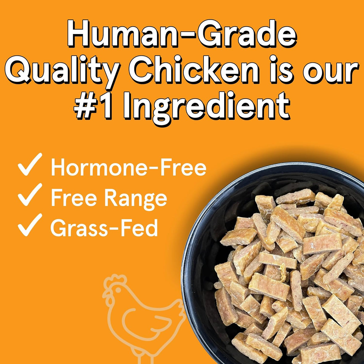 Two 5 lb bags of grain-free air dried chicken dog food