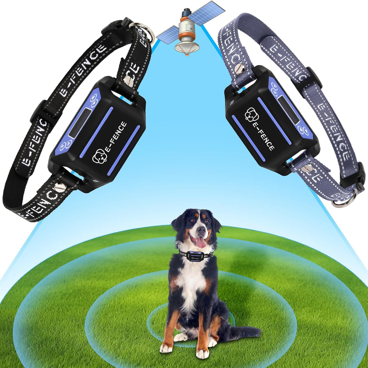 Rechargeable wireless GPS dog fence collar worn by a dog in a backyard