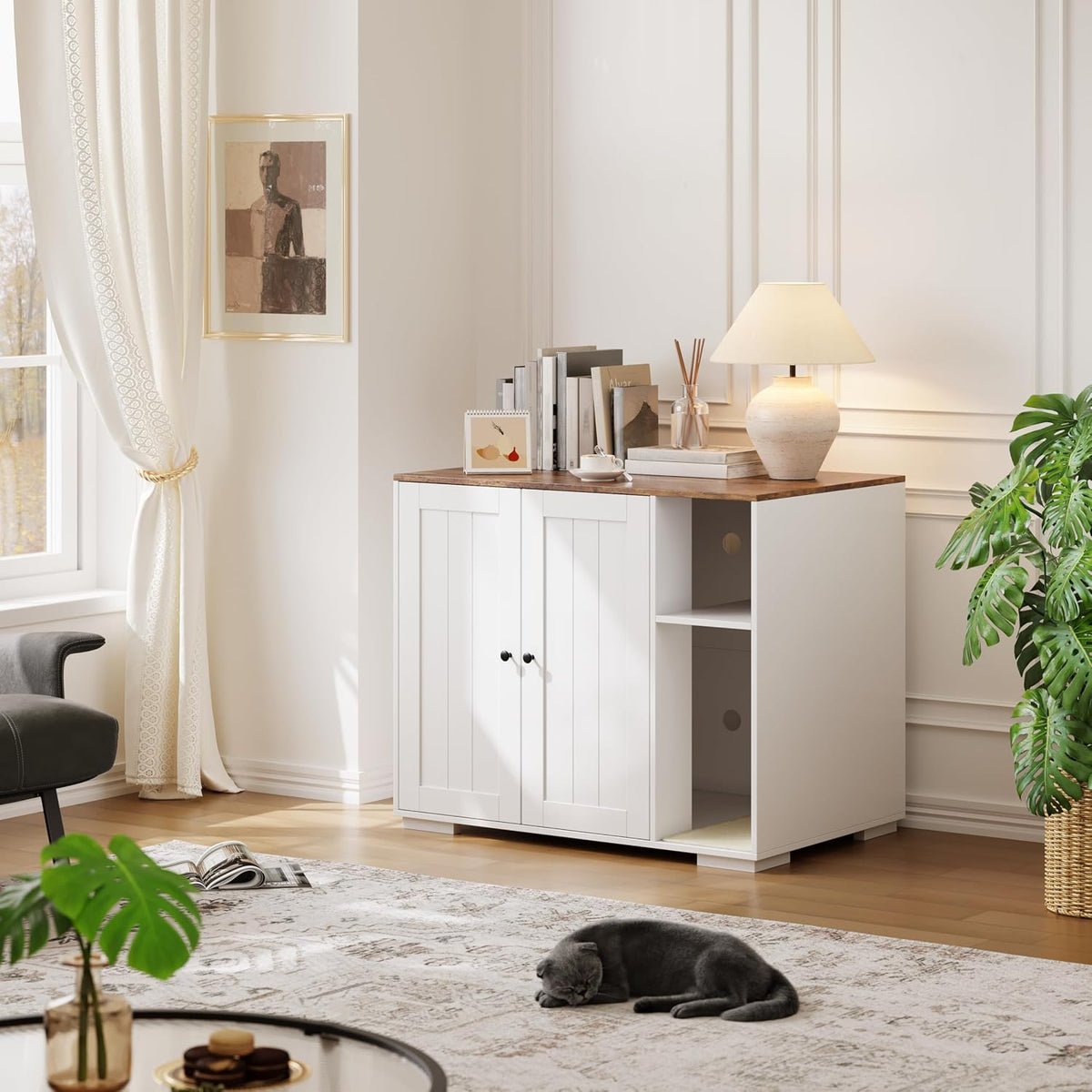 Cabinet enclosure for automatic litter box with power outlet and litter collector