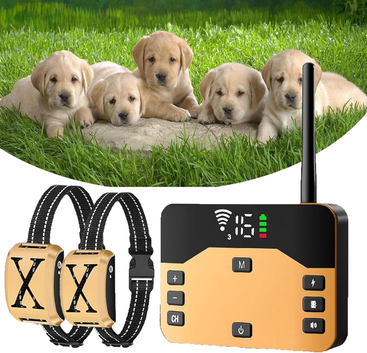 Wireless dog fence transmitter with three waterproof training collar receivers – view 2