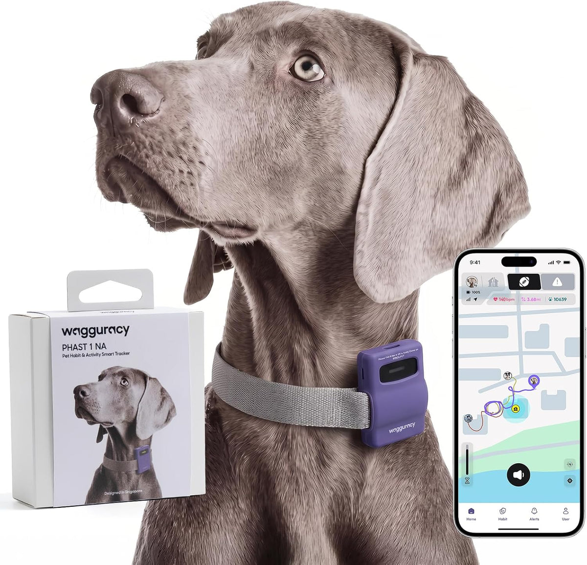 Small GPS dog tracker attached to a dog collar