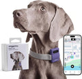 Small GPS dog tracker attached to a dog collar