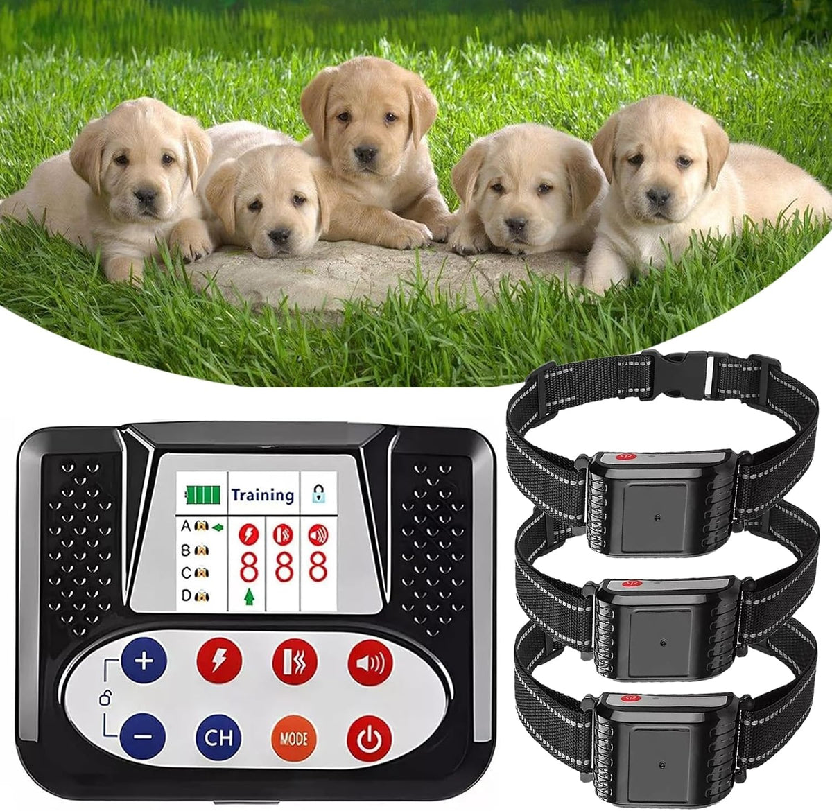 Wireless dog fence transmitter with remote and two receiver collars – view 2