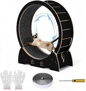 Ultra-Quiet Wooden Cat Exercise Wheel Treadmill for Indoor Cats