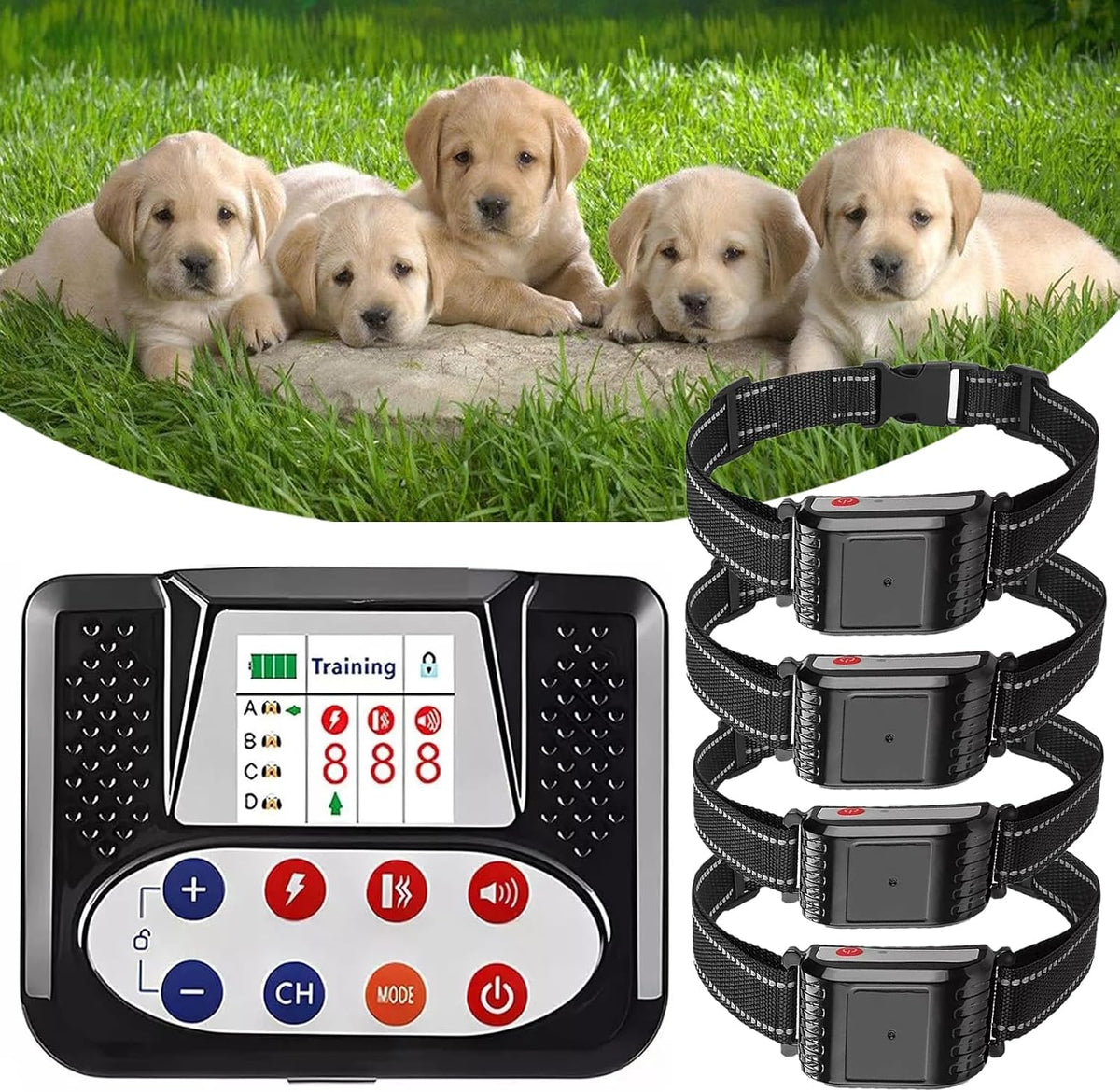 Wireless dog fence transmitter with remote and two receiver collars – view 3