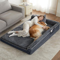 Sofa style orthopedic dog bed with plush velvet cover