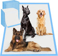Extra-large white 6-layer absorbent dog pee pad, 31 x 47 inches