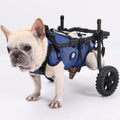 Lightweight aluminum two-wheel dog wheelchair for rear leg support – view 2