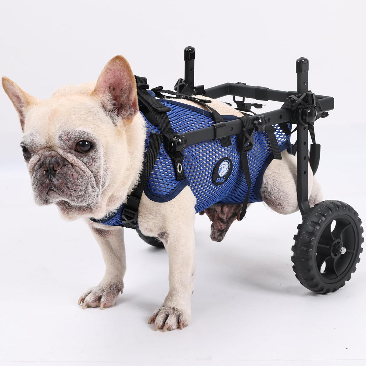 Lightweight aluminum two-wheel dog wheelchair for rear leg support – view 2