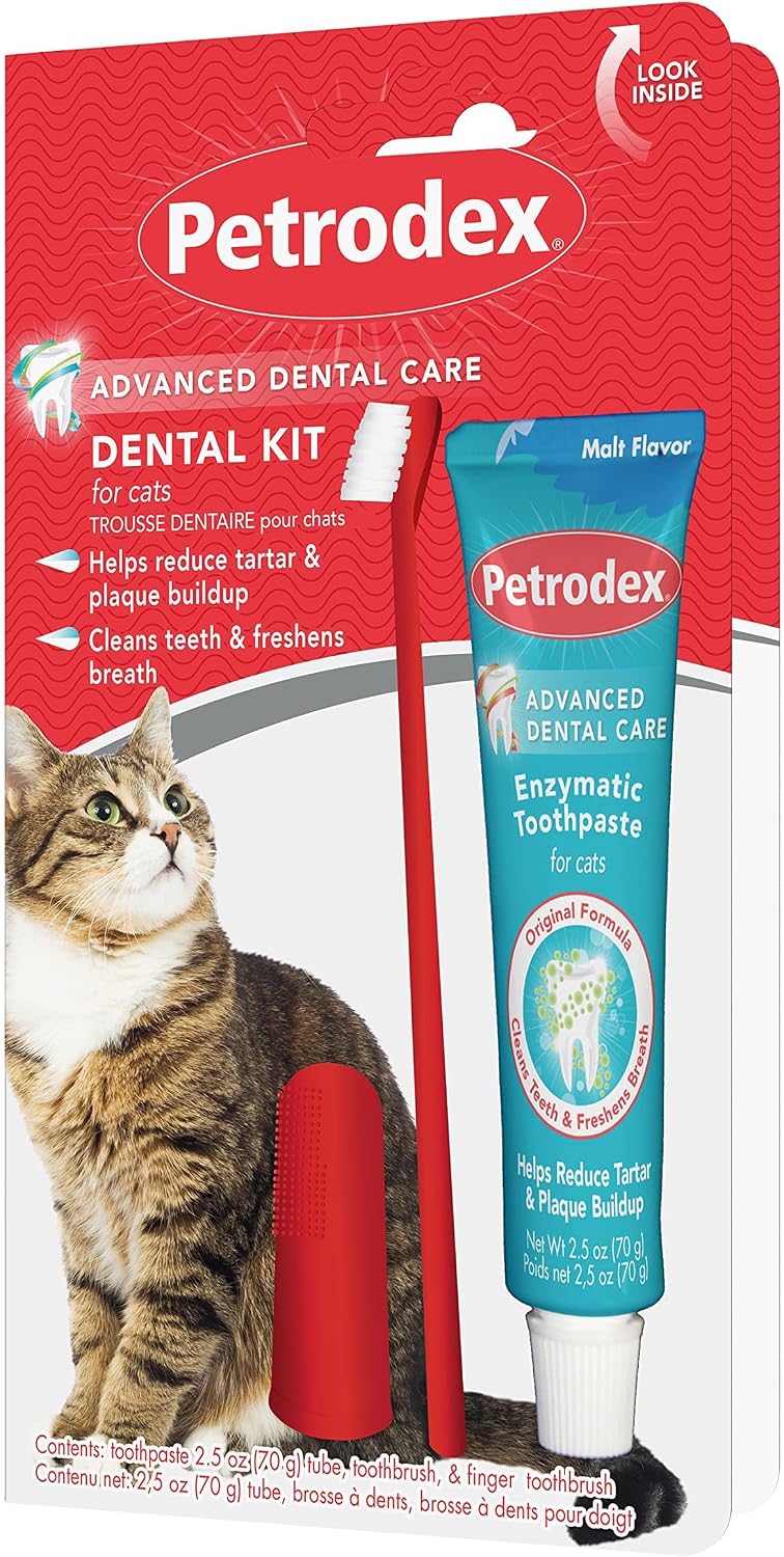 Cat dental kit with enzymatic toothpaste tube and dual-ended finger toothbrush