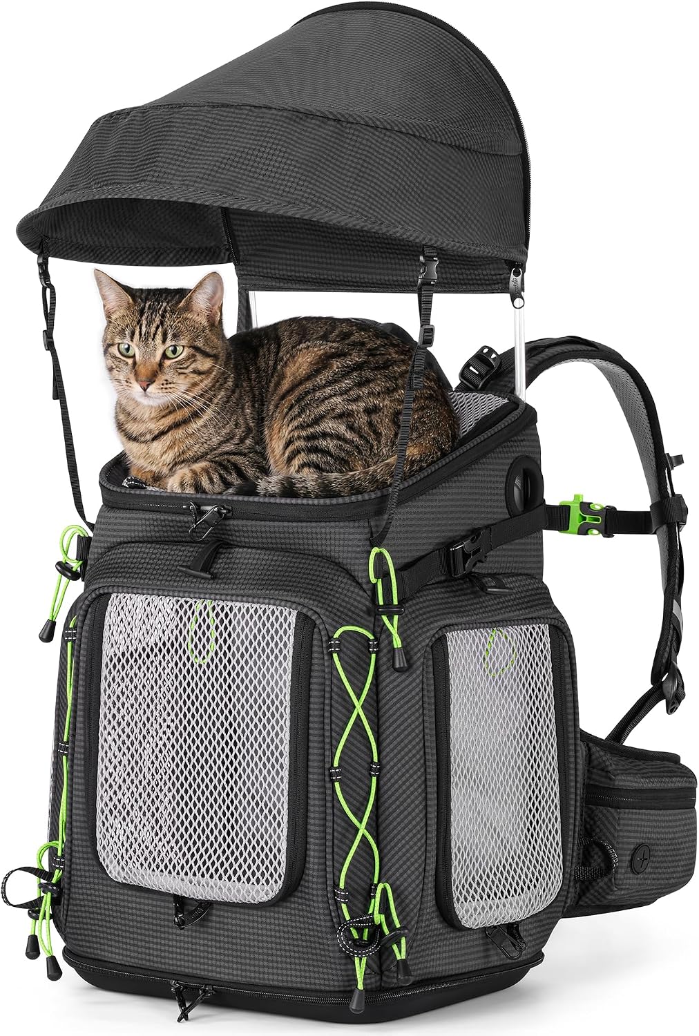 Black cat backpack carrier with sun canopy