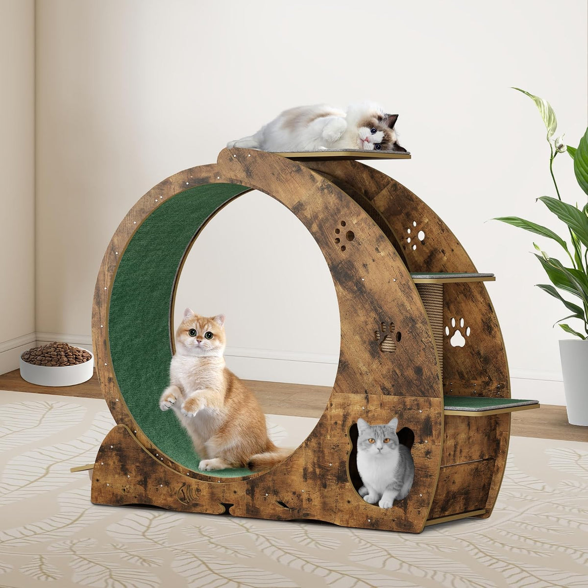 Solid wood cat running wheel with apartment and play roller – view 2