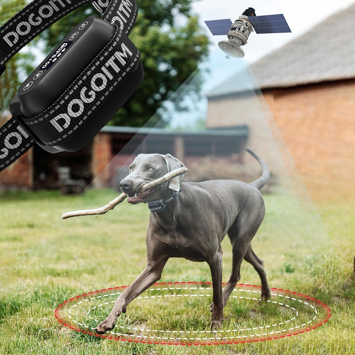 Two GPS wireless dog fence collars in grey – view 2