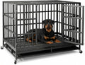 Heavy duty black steel dog crate with two doors, locking wheels and pull-out tray