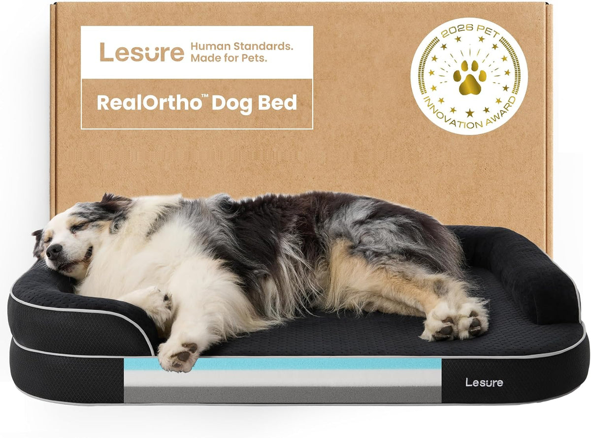 Black orthopedic couch dog bed with memory foam base and raised bolsters