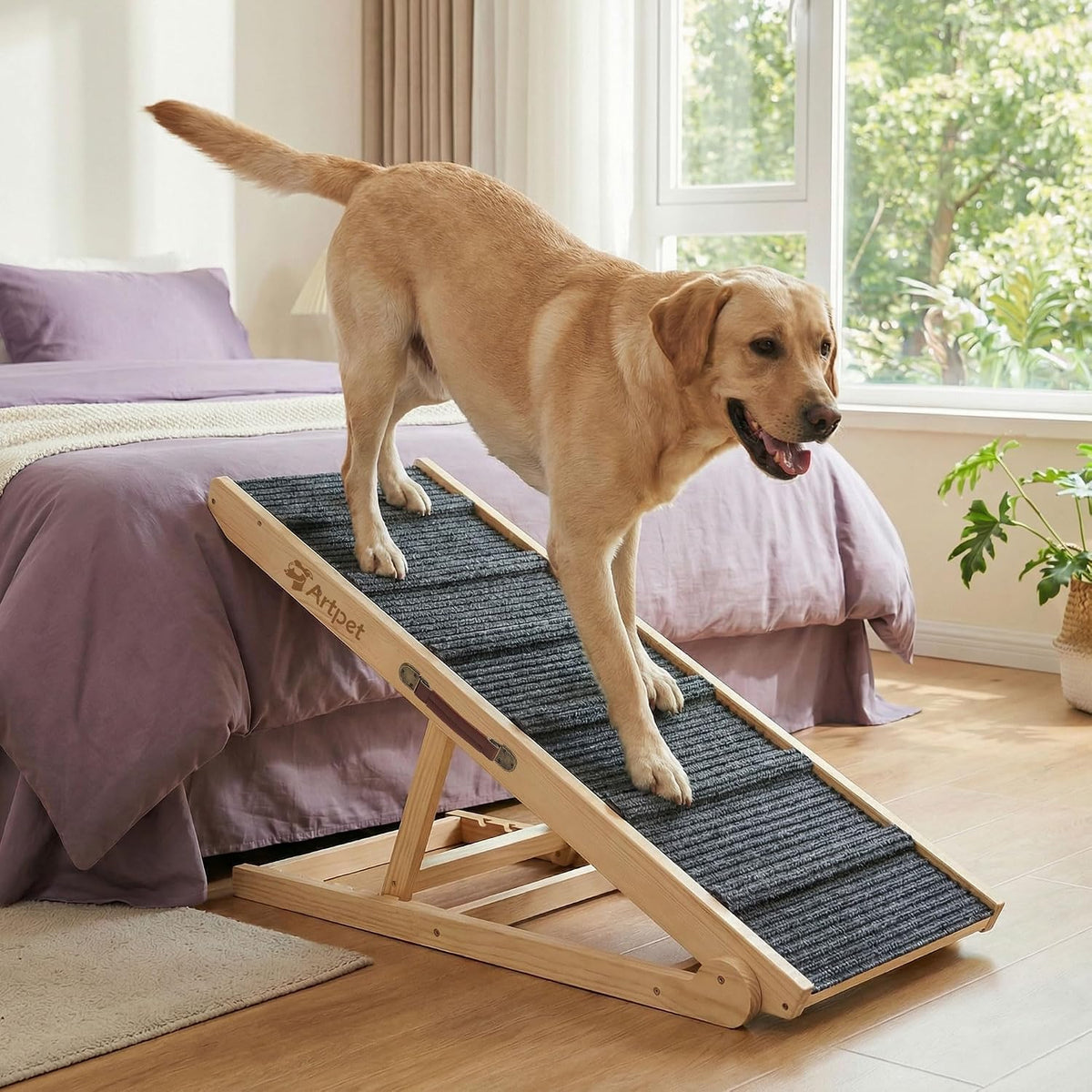Wide pine dog ramp with crossbar treads leaning against a bed