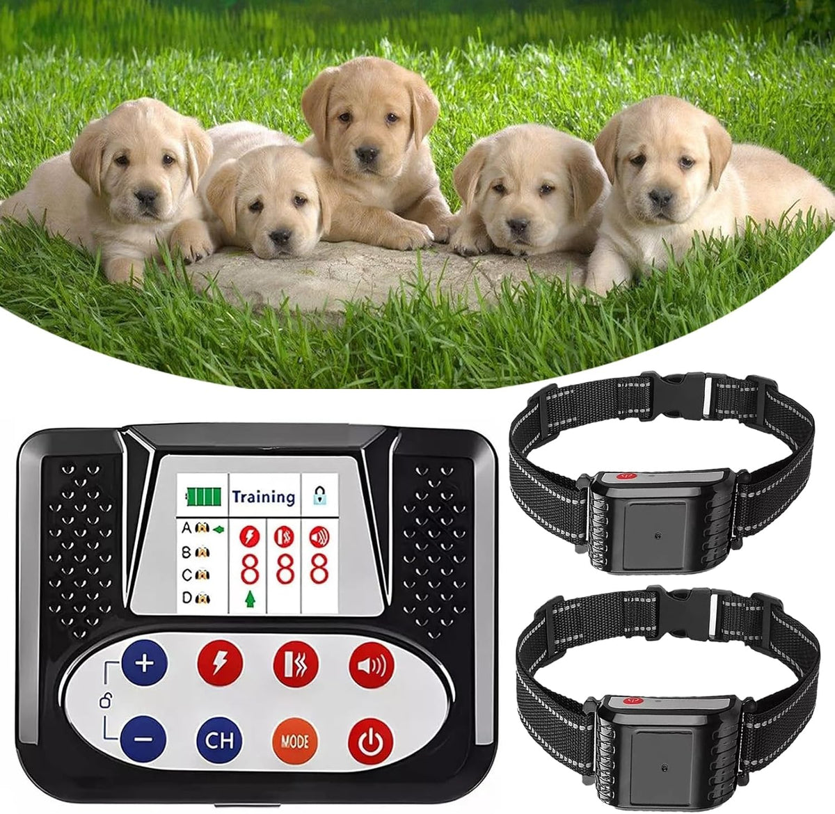 Wireless dog fence transmitter with remote and two receiver collars