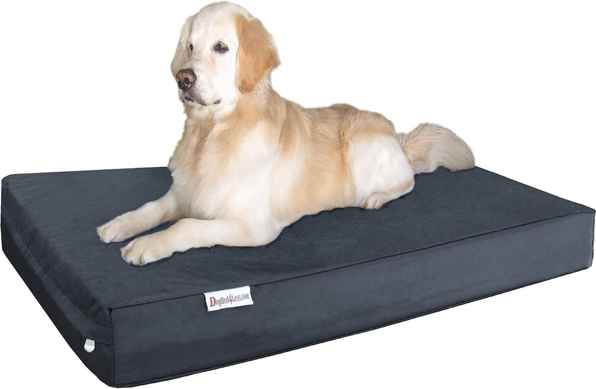Grey jumbo gel memory foam dog bed with nylon cover