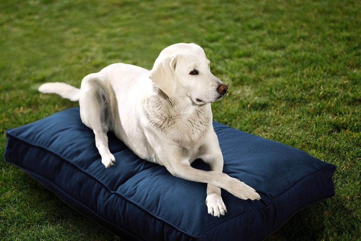 Daffodil yellow reversible indoor outdoor pet mat bed – view 6