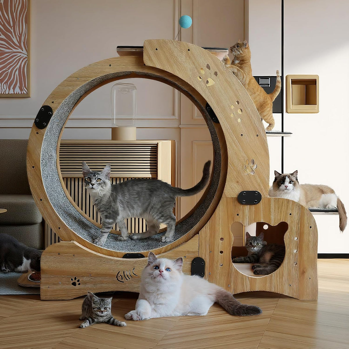 55 inch cat exercise wheel with attached cat house and scratching post