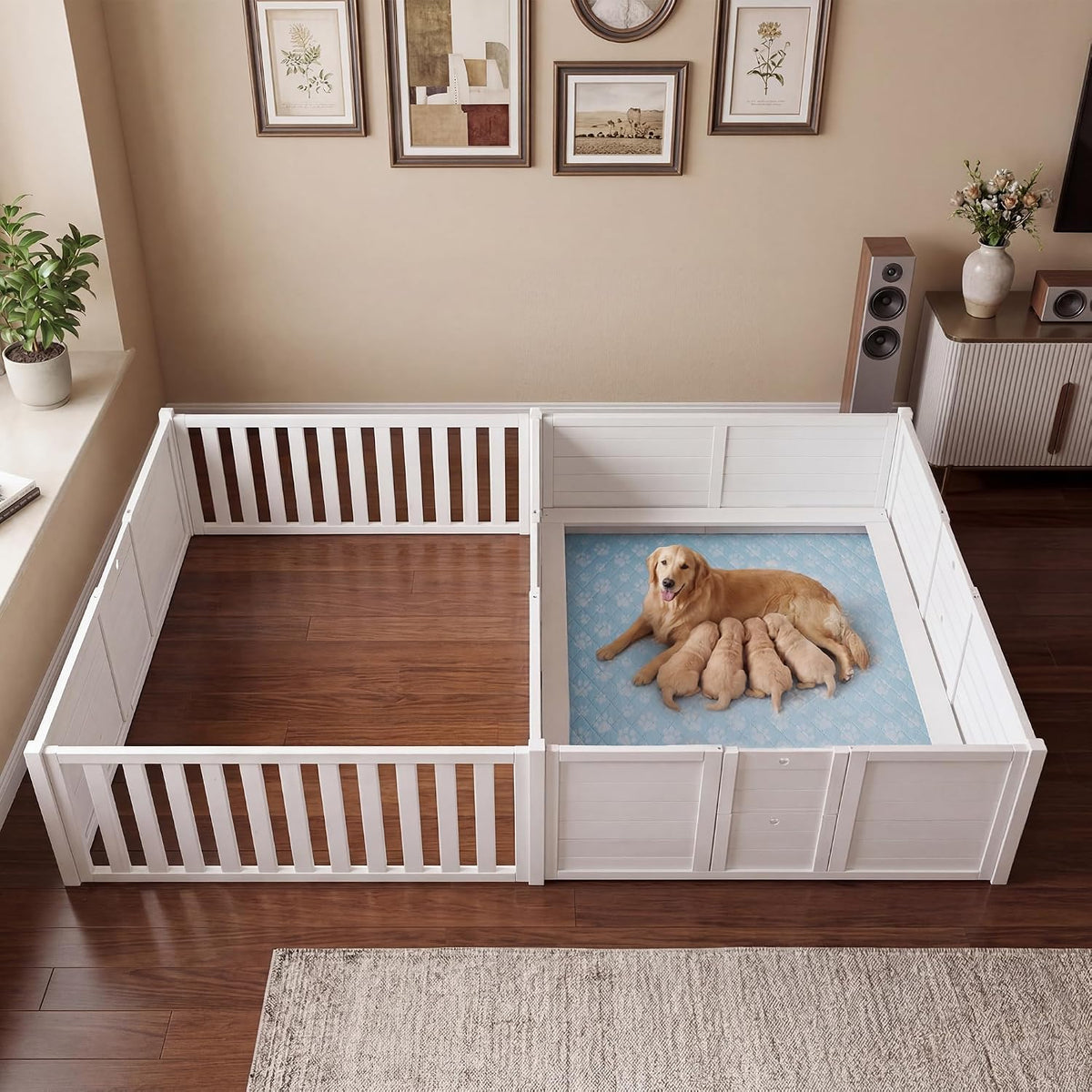 Large wooden double room whelping box with puppy rails and washable pad