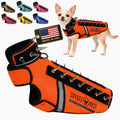 Neon pink spiked protective vest harness on a small dog – view 26