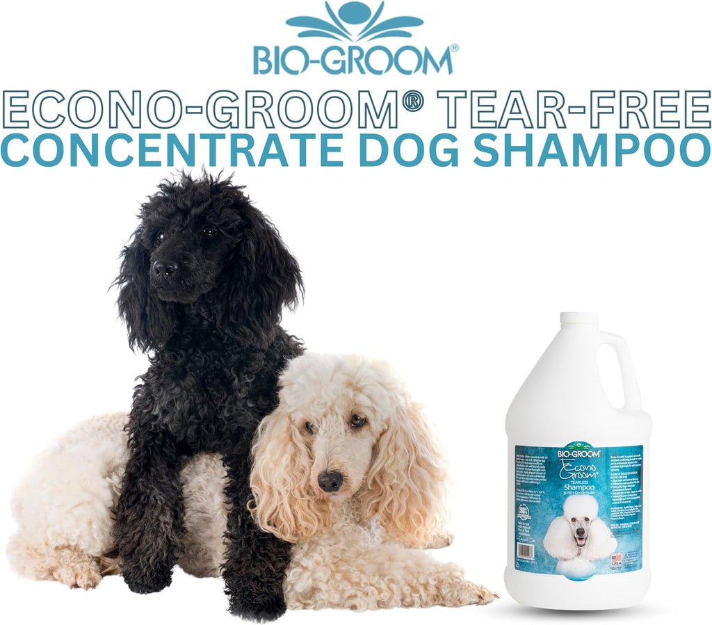 2.5 gallon jug of tearless concentrated dog and cat shampoo