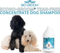 2.5 gallon jug of tearless concentrated dog and cat shampoo