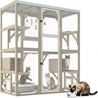 Large Walk-In Catio Outdoor Cat Enclosure for 3-4 Cats