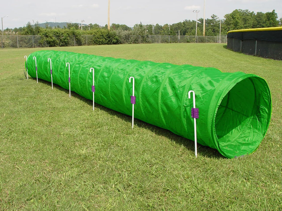 Teal 18 foot dog agility tunnel staked on grass