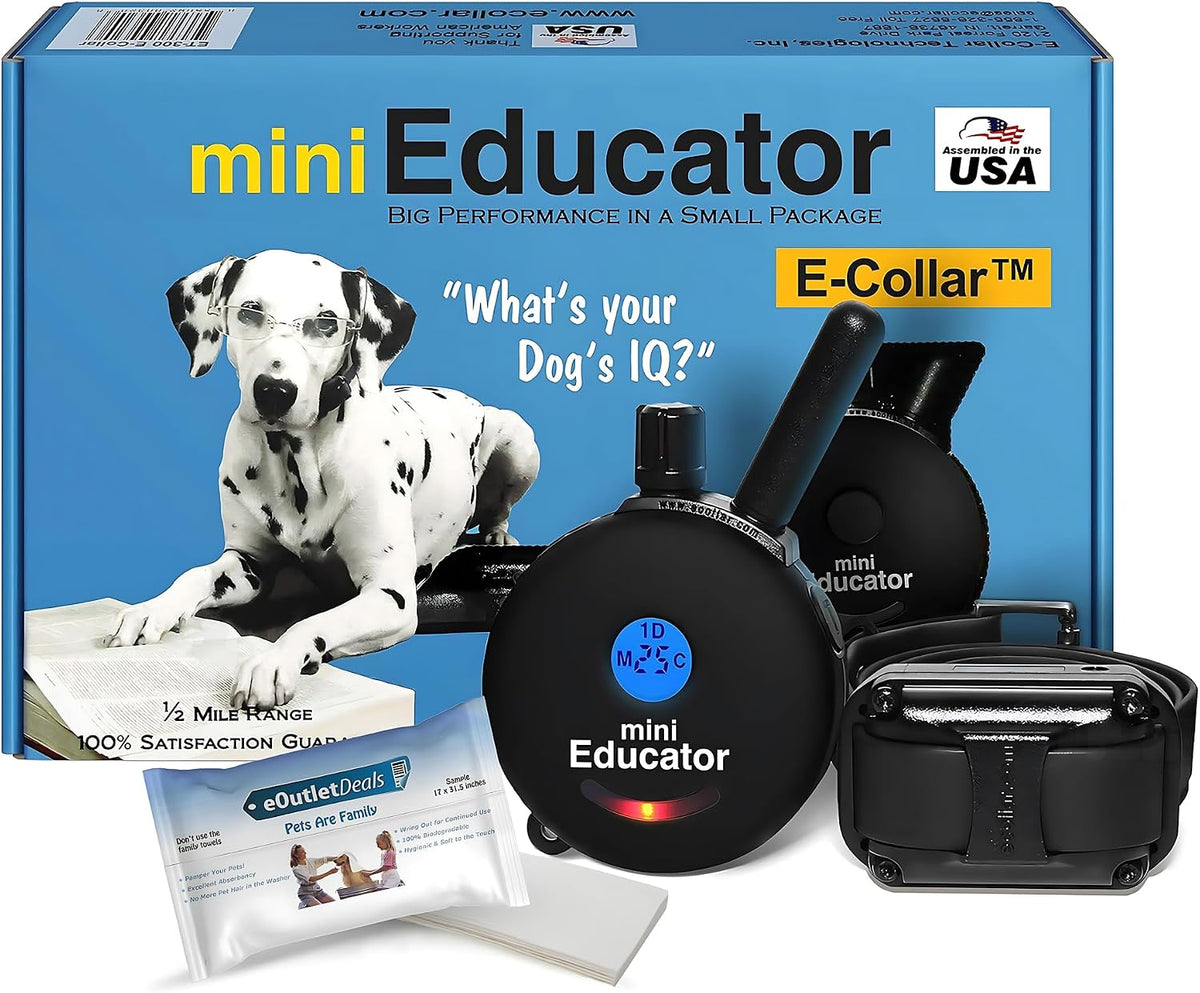 Black remote dog training collar and handheld transmitter