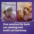 Cat pheromone diffuser kit with 2 plug-in diffusers and 6 refill vials
