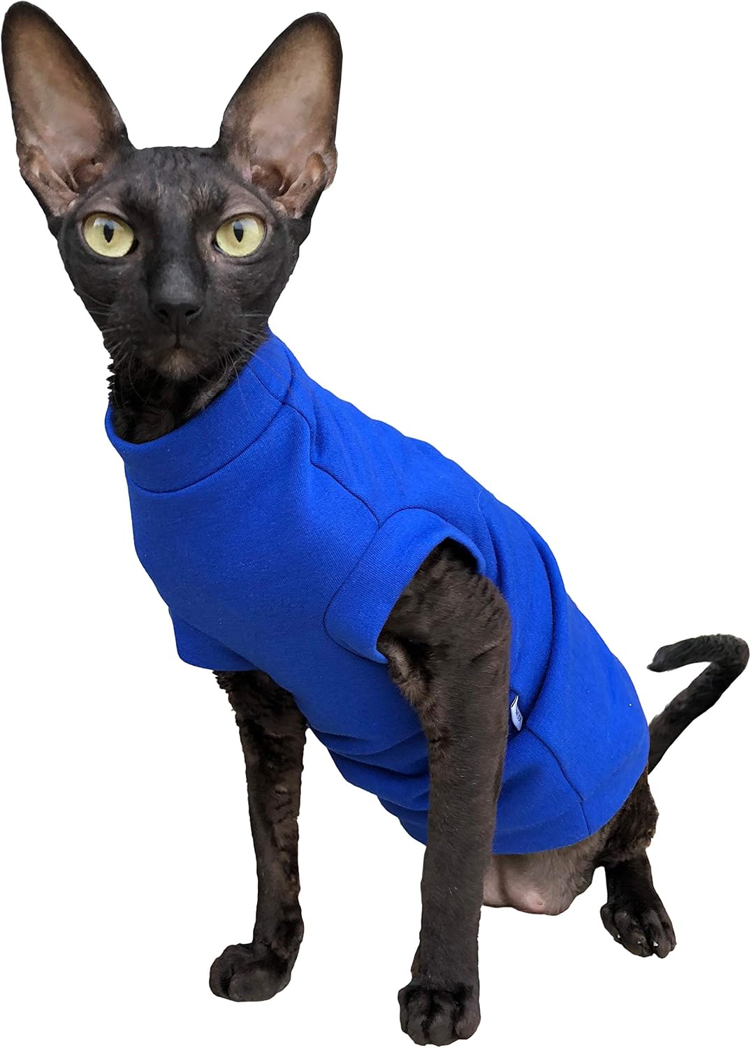 Mocha mosse cashmere turtleneck sweater for a Sphynx cat – view 8