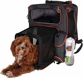 Expandable Cat Carrier Backpack for Cats and Small Dogs, Gray/Orange
