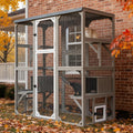 Walk-in outdoor wooden catio with climbing platforms and resting rooms