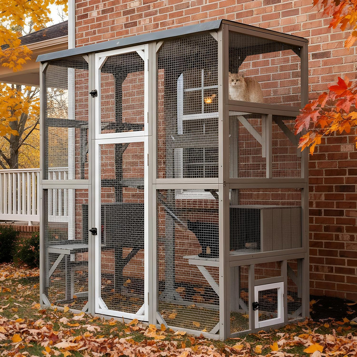 Walk-in outdoor wooden catio with climbing platforms and resting rooms