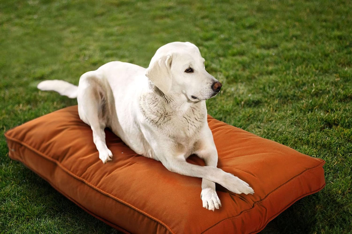 Cayenne red double-sided indoor outdoor dog bed, large size – view 9