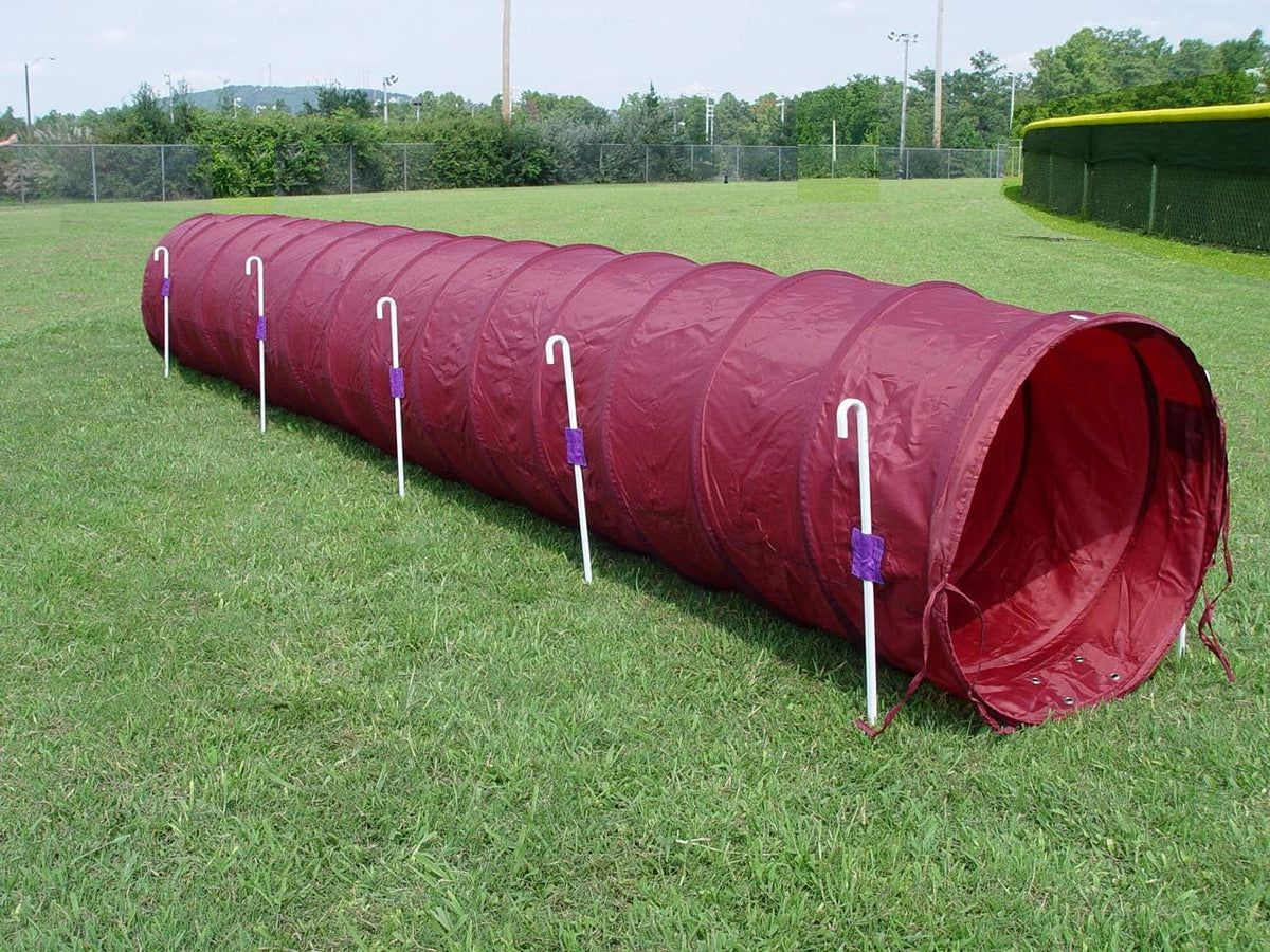Zebra print 14 foot dog agility tunnel with metal stakes – view 5