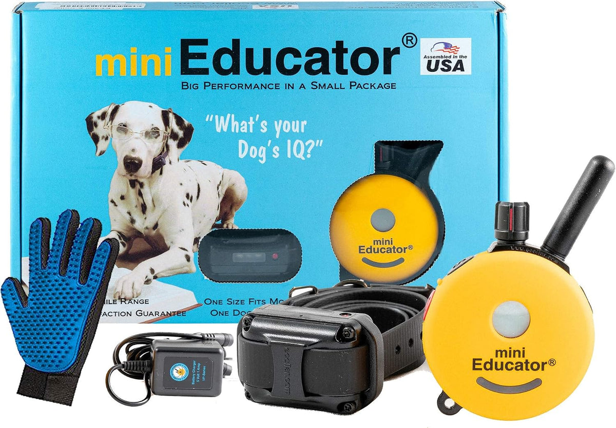 Remote dog training collar with transmitter and silicone grooming glove