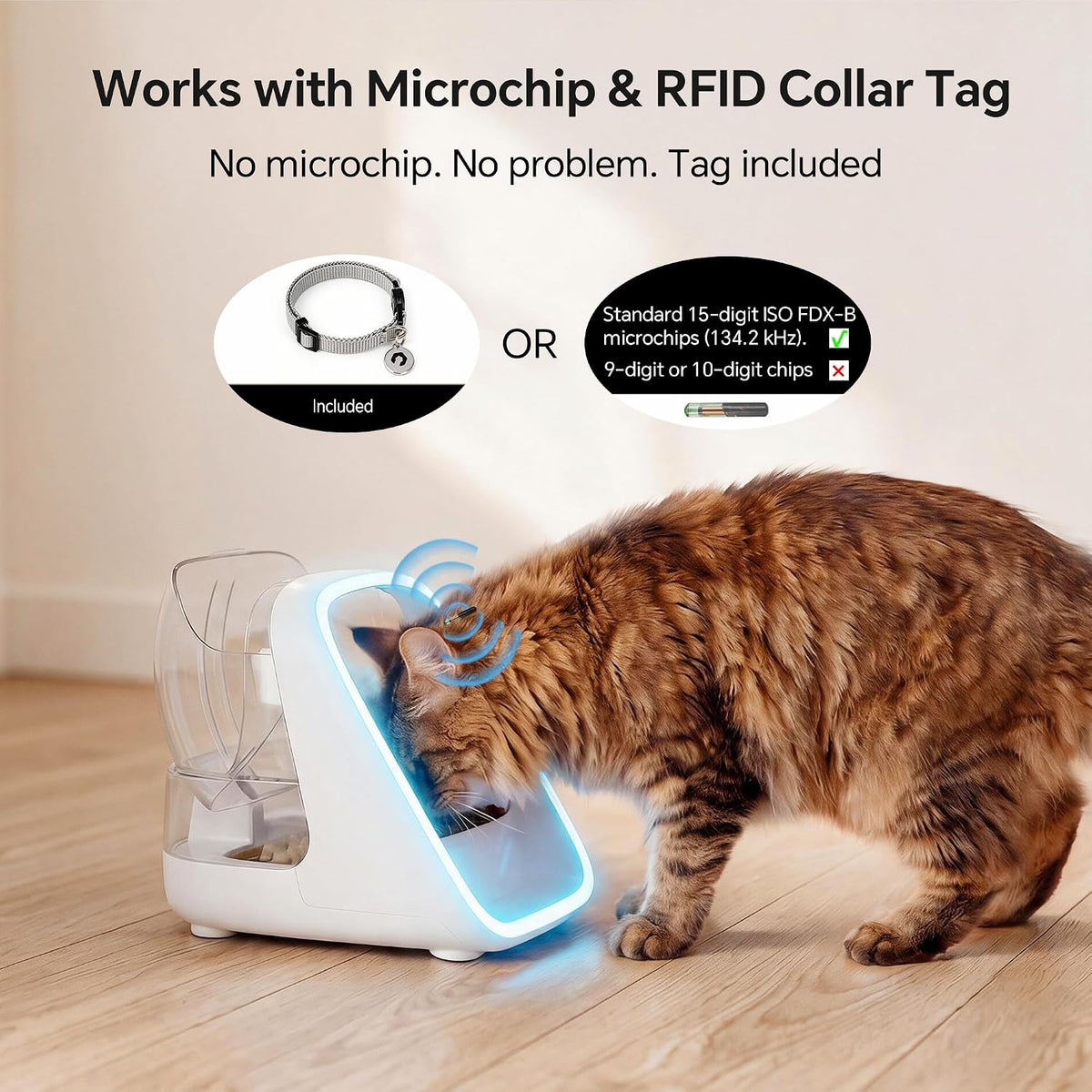 Elevated microchip automatic cat feeder
