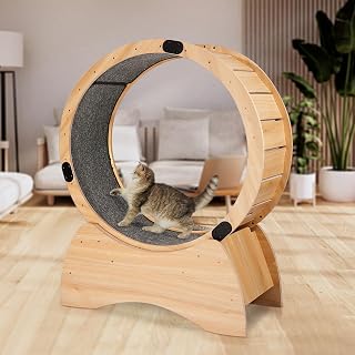 40.8 Inch Wooden Cat Exercise Wheel for Indoor Cats with Carpeted Runway