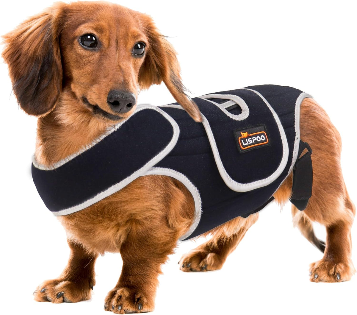 Black full-torso dog back brace with metal stays and mesh panels – view 3