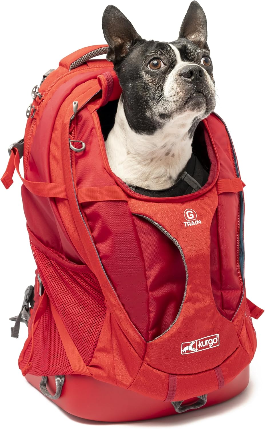 Red pet carrier backpack