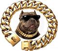 Thick gold stainless steel Cuban link chain dog collar