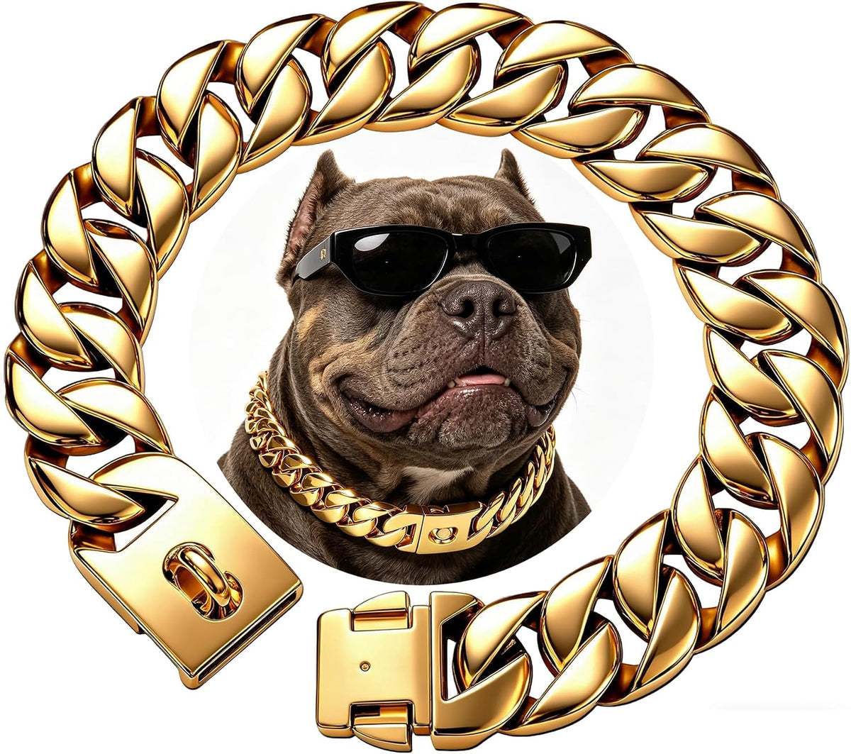 Thick gold stainless steel Cuban link chain dog collar