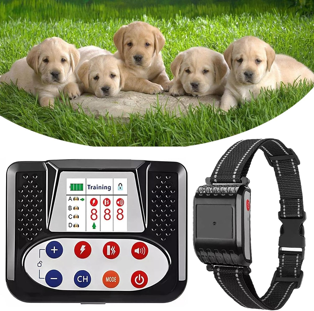 Wireless dog fence transmitter with remote and two receiver collars – view 4