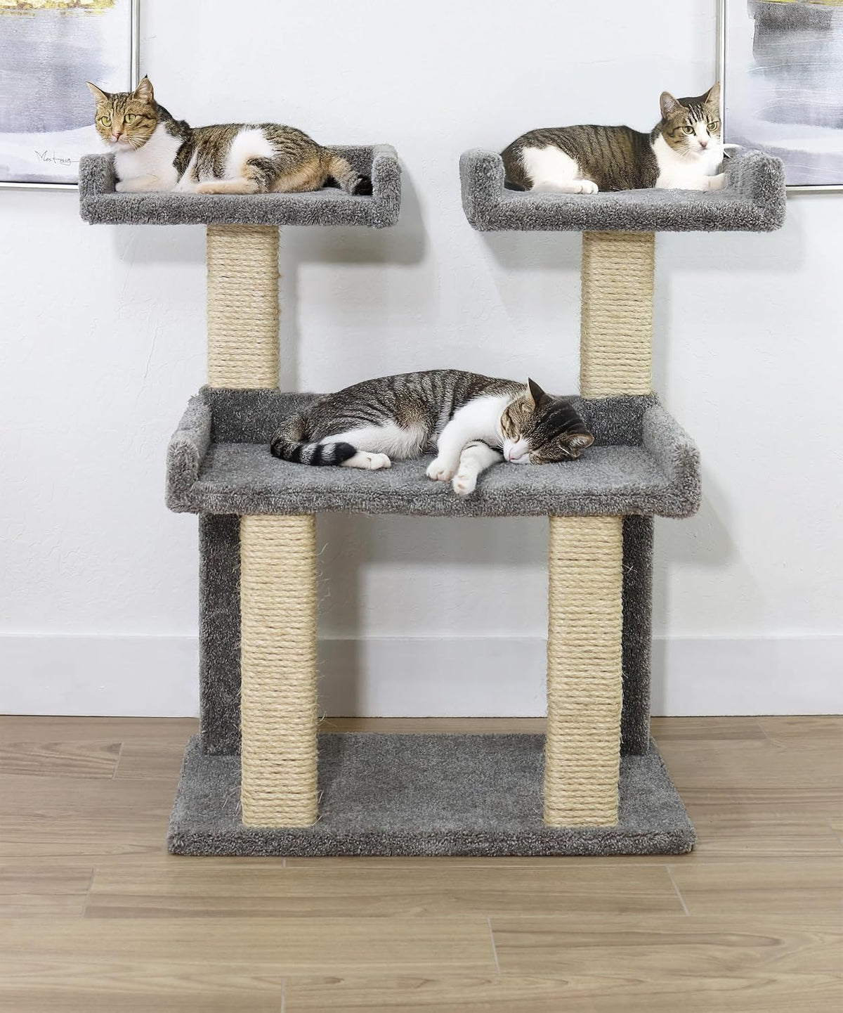Deluxe solid wood cat perch covered in plush carpet for large cats